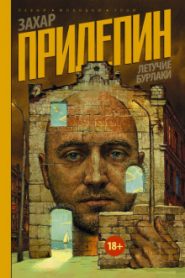 Летучие бурлаки