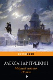 Медный всадник