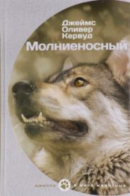 Молниеносный