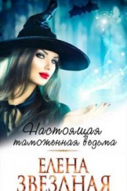 Московский ведьминский таможенно-пропускной пункт