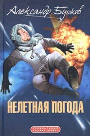 Нелетная погода