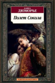 Полёт сокола