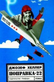 Поправка 22