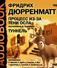 Процесс из-за тени осла. Туннель