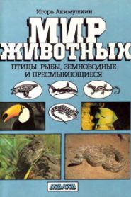 Птицы. Рыбы. Земноводные и пресмыкающиеся