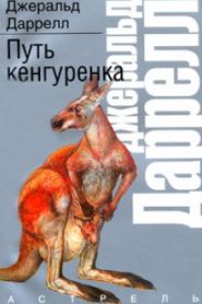 Путь кенгуренка