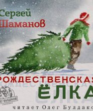 Рождественская ёлка