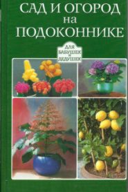 Сад и огород на подоконнике