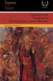 Сиддхартха. Курортник. Путешествие в Нюрнберг