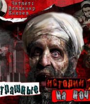 Страшные истории на ночь 2. Сборник рассказов