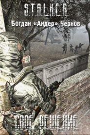 S.T.A.L.K.E.R. Своё решение